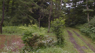 長野県菅平高原 ゆたか山荘 坂上 2026/07/26 16:00