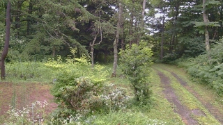 長野県菅平高原 ゆたか山荘 坂上 2026/07/26 16:15