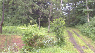 長野県菅平高原 ゆたか山荘 坂上 2026/07/26 16:30