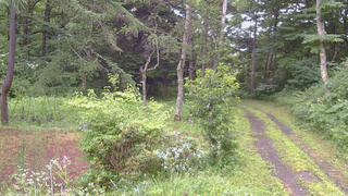 長野県菅平高原 ゆたか山荘 坂上 2026/07/26 16:45