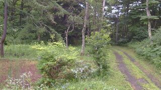 長野県菅平高原 ゆたか山荘 坂上 2026/07/26 17:15