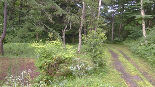長野県菅平高原 ゆたか山荘 坂上 2026/07/26 17:30