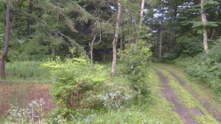 長野県菅平高原 ゆたか山荘 坂上 2026/07/26 17:45