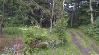 長野県菅平高原 ゆたか山荘 坂上 2026/07/26 18:00