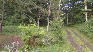 長野県菅平高原 ゆたか山荘 坂上 2026/07/26 18:15