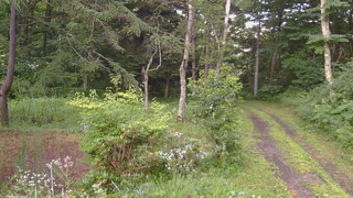 長野県菅平高原 ゆたか山荘 坂上 2026/07/26 18:30