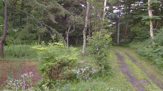 長野県菅平高原 ゆたか山荘 坂上 2026/07/26 18:45