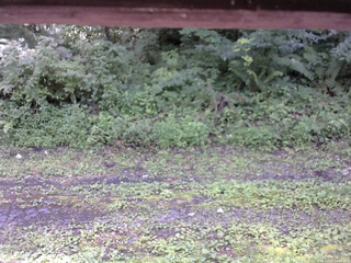 長野県菅平高原 ゆたか山荘 東側(坂下) 2026/07/27 11:30