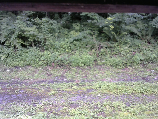 長野県菅平高原 ゆたか山荘 東側(坂下) 2026/07/27 13:30