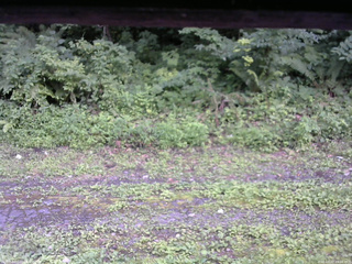 長野県菅平高原 ゆたか山荘 東側(坂下) 2026/07/27 15:30