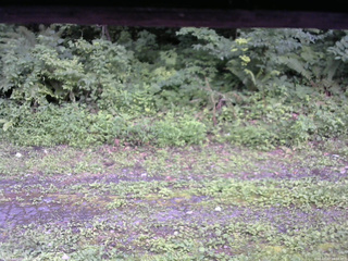 長野県菅平高原 ゆたか山荘 東側(坂下) 2026/07/27 16:00