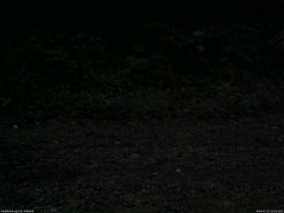 長野県菅平高原 ゆたか山荘 東側(坂下) 2026/07/27 19:15