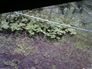長野県菅平高原 ゆたか山荘 駐車場 2026/07/27 05:00