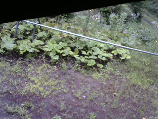 長野県菅平高原 ゆたか山荘 駐車場 2026/07/27 05:15