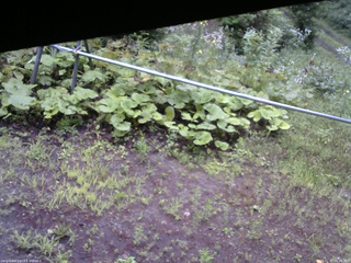 長野県菅平高原 ゆたか山荘 駐車場 2026/07/27 05:30