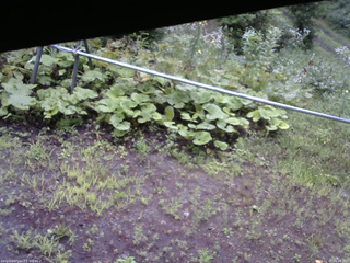 長野県菅平高原 ゆたか山荘 駐車場 2026/07/27 05:45