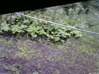 長野県菅平高原 ゆたか山荘 駐車場 2026/07/27 06:00