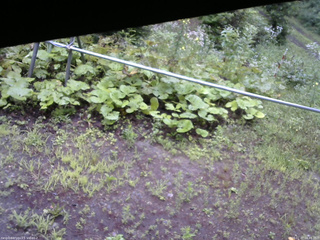 長野県菅平高原 ゆたか山荘 駐車場 2026/07/27 06:45