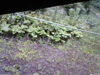 長野県菅平高原 ゆたか山荘 駐車場 2026/07/27 07:15