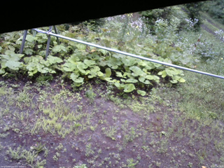 長野県菅平高原 ゆたか山荘 駐車場 2026/07/27 07:30