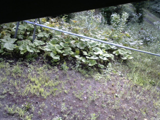 長野県菅平高原 ゆたか山荘 駐車場 2026/07/27 07:45