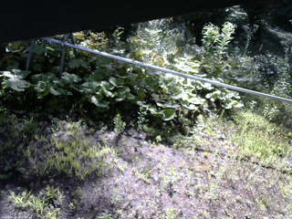 長野県菅平高原 ゆたか山荘 駐車場 2026/07/27 08:00