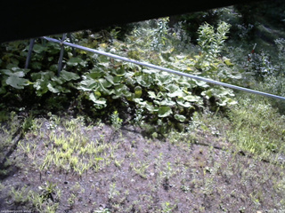 長野県菅平高原 ゆたか山荘 駐車場 2026/07/27 08:15