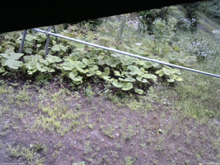 長野県菅平高原 ゆたか山荘 駐車場 2026/07/27 09:00