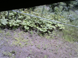 長野県菅平高原 ゆたか山荘 駐車場 2026/07/27 10:15