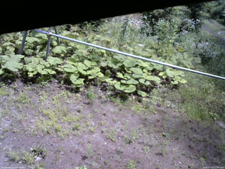 長野県菅平高原 ゆたか山荘 駐車場 2026/07/27 11:30
