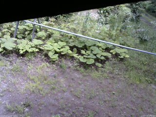 長野県菅平高原 ゆたか山荘 駐車場 2026/07/27 12:45