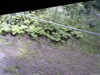 長野県菅平高原 ゆたか山荘 駐車場 2026/07/27 13:15