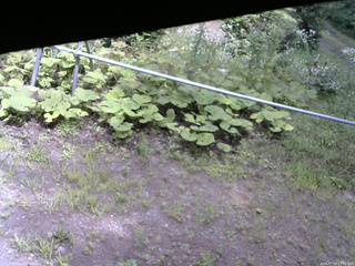 長野県菅平高原 ゆたか山荘 駐車場 2026/07/27 13:30