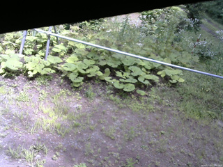 長野県菅平高原 ゆたか山荘 駐車場 2026/07/27 13:45