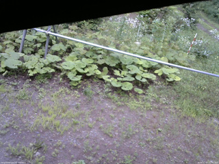 長野県菅平高原 ゆたか山荘 駐車場 2026/07/27 15:45