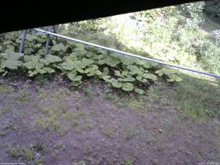 長野県菅平高原 ゆたか山荘 駐車場 2026/07/27 16:30