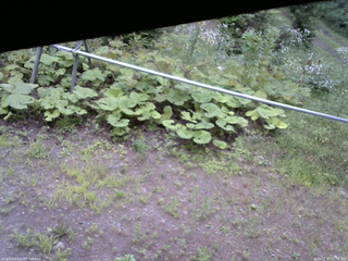 長野県菅平高原 ゆたか山荘 駐車場 2026/07/27 17:30