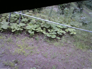 長野県菅平高原 ゆたか山荘 駐車場 2026/07/27 18:15