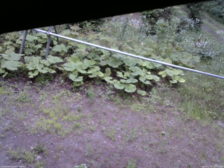 長野県菅平高原 ゆたか山荘 駐車場 2026/07/27 18:30
