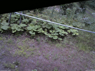 長野県菅平高原 ゆたか山荘 駐車場 2026/07/27 19:00
