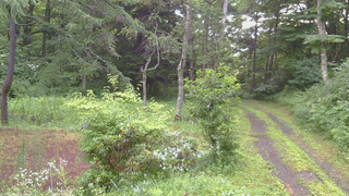 長野県菅平高原 ゆたか山荘 坂上 2026/07/27 05:15