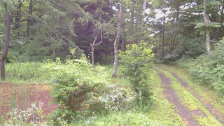 長野県菅平高原 ゆたか山荘 坂上 2026/07/27 05:30