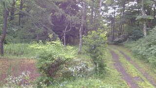 長野県菅平高原 ゆたか山荘 坂上 2026/07/27 05:45