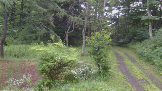 長野県菅平高原 ゆたか山荘 坂上 2026/07/27 06:00