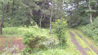 長野県菅平高原 ゆたか山荘 坂上 2026/07/27 06:30