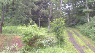 長野県菅平高原 ゆたか山荘 坂上 2026/07/27 06:45