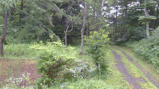 長野県菅平高原 ゆたか山荘 坂上 2026/07/27 07:00