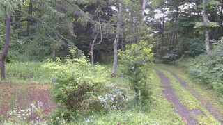 長野県菅平高原 ゆたか山荘 坂上 2026/07/27 07:15