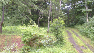長野県菅平高原 ゆたか山荘 坂上 2026/07/27 07:30