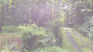 長野県菅平高原 ゆたか山荘 坂上 2026/07/27 07:45